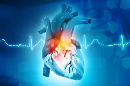 Vías de Vida: Sistema de Conducción Cardíaca Revelado