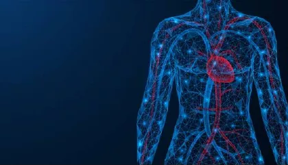 Bombeando Vida: Circulación Sistémica y Pulmonar