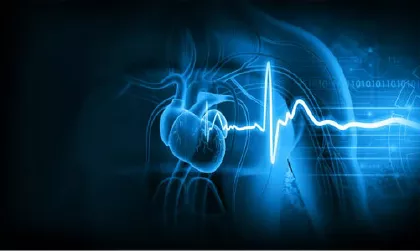 Guardianes Del Ritmo: Nódulo Sinusal y Arritmia Desvelados