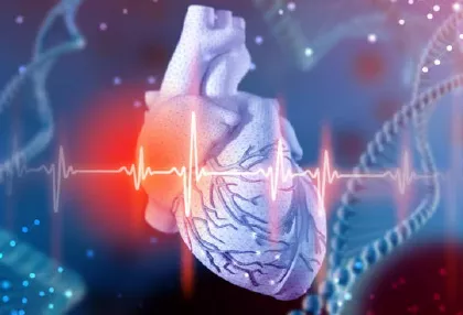 Vínculos Vitales: Corazón y Sistema Nervioso Unificados